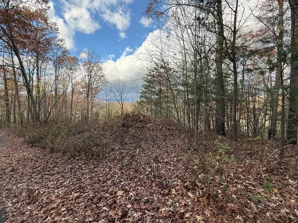 Blue Ridge, GA 30513,1.35 AC Plantation Lane