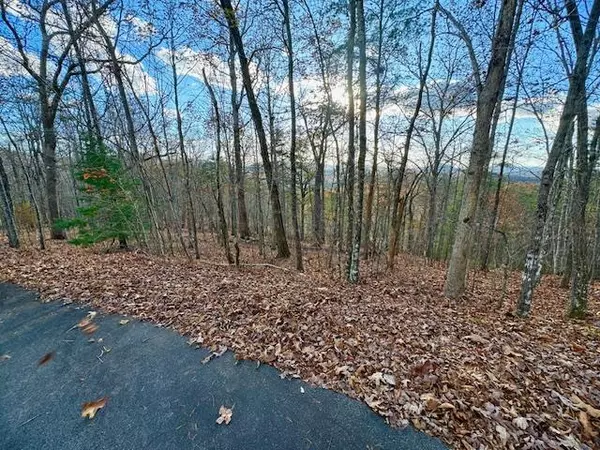 Lot 49 Mission Ridge, Hayesville, NC 28904