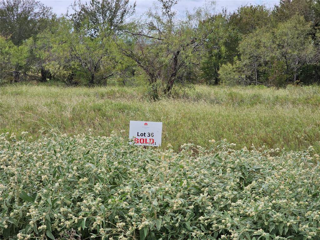 Corsicana, TX 75109,TBD Lot 36 Crestview Point