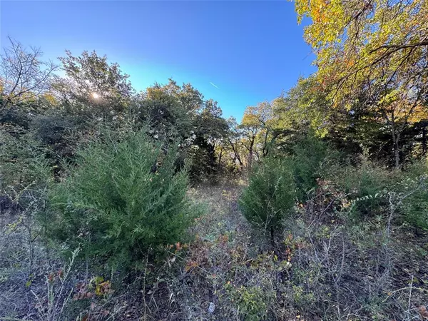 Tioga, TX 76271,20 Timber Trail