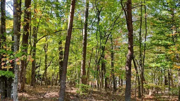 Morganton, GA 30560,.51 acre Charlotte Circle