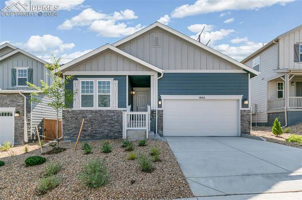 1805 Water Birch WAY, Castle Rock, CO 80108