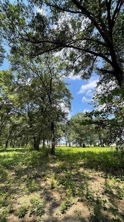 Terrell, TX 75161,TBD Lot #1 County Road 355