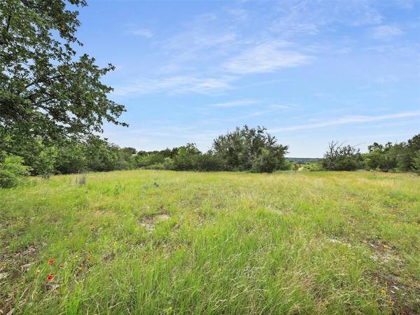 Weatherford, TX 76088,TBD Ellis Road