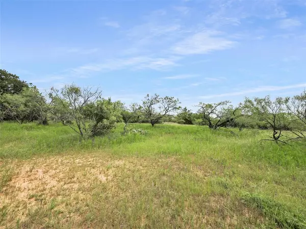 Weatherford, TX 76088,TBD Ellis Road