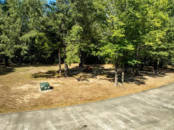 TBD 154 Deer Valley Drive,  Powderly,  TX 75473