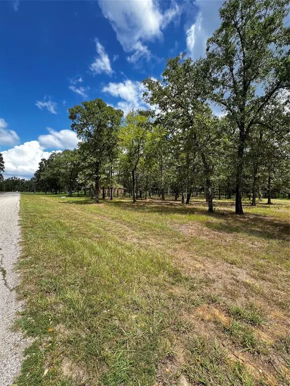 Malakoff, TX 75148,0 TBD Indian Springs