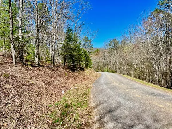 Morganton, GA 30560,12.64 AC Voylestown Road