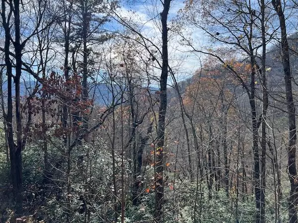 Lot 19 The Highlands, Hiawassee, GA 30546