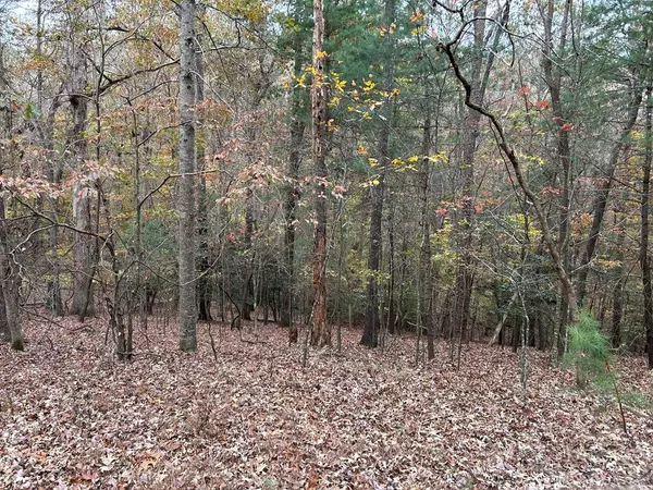 Lot 164, Foxhound Drive, Ellijay, GA 30540