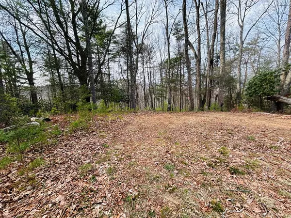 Lot 19 Chestnut Oak Lane, Dugspur, VA 24325