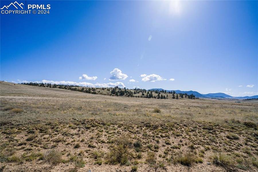 445 Arapahoe RD, Hartsel, CO 80449