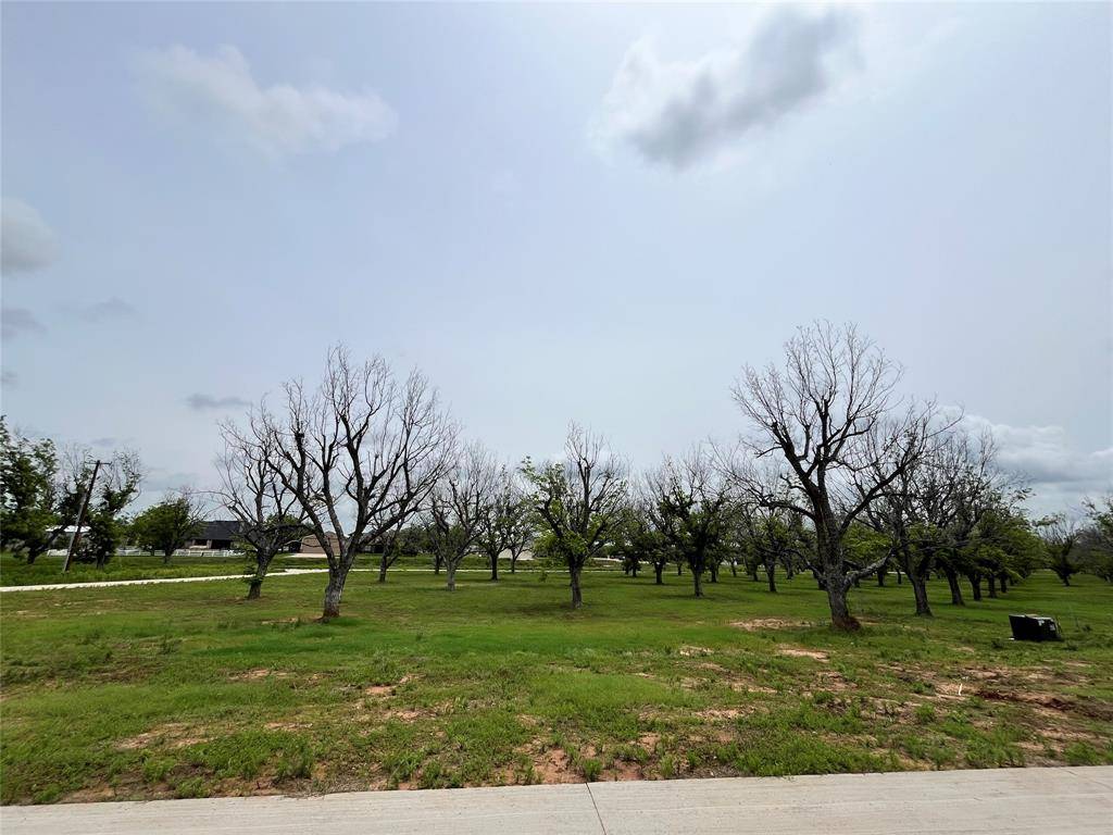 Granbury, TX 76049,6021 Bonanza Drive