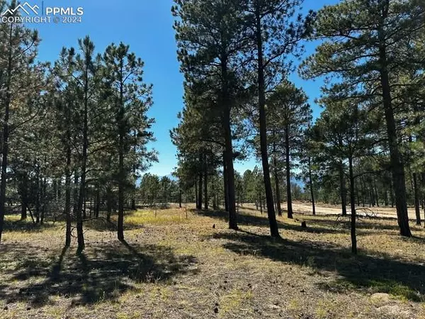 Colorado Springs, CO 80908,14671 Allen Ranch RD