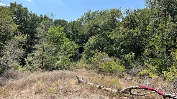 Decatur, TX 76234,TBD Ferris Wheel Loop