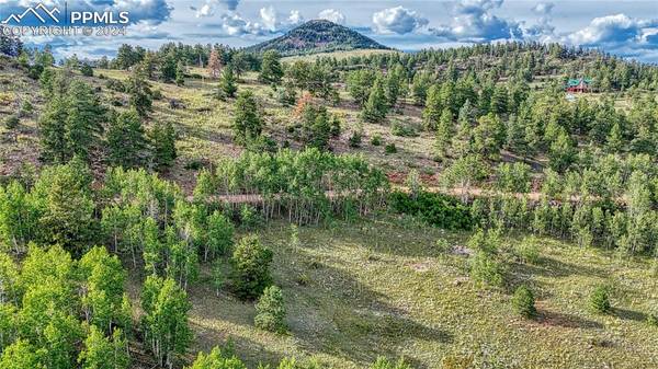 1325 Penrose CIR, Cripple Creek, CO 80813