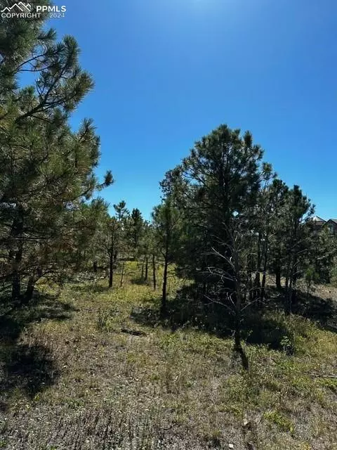 Colorado Springs, CO 80908,14491 Allen Ranch RD