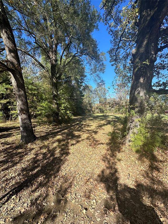 Minden, LA 71055,0 Greene Road