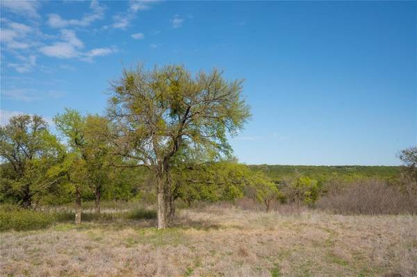 Possum Kingdom Lake, TX 76449,954R Frog Branch Court