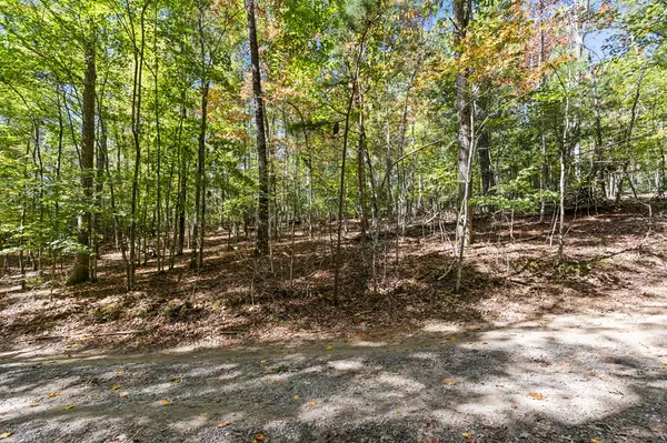 Blue Ridge, GA 30513,Lot 1&2 Timberlake Estates