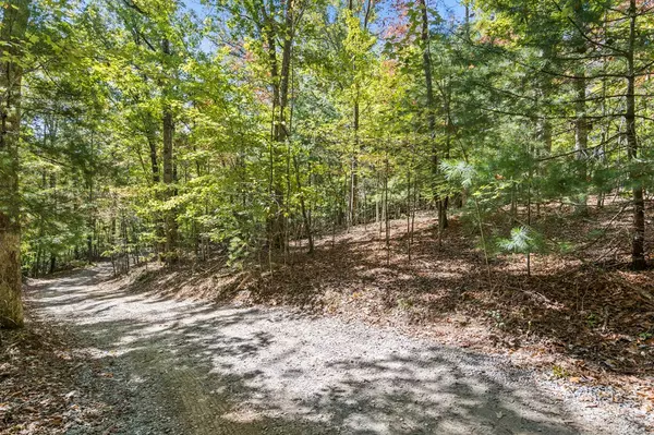 Blue Ridge, GA 30513,Lot 1&2 Timberlake Estates