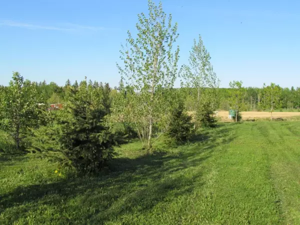 Rimbey, AB T0C 2J0,420054 Range Road 283 #Lot 12