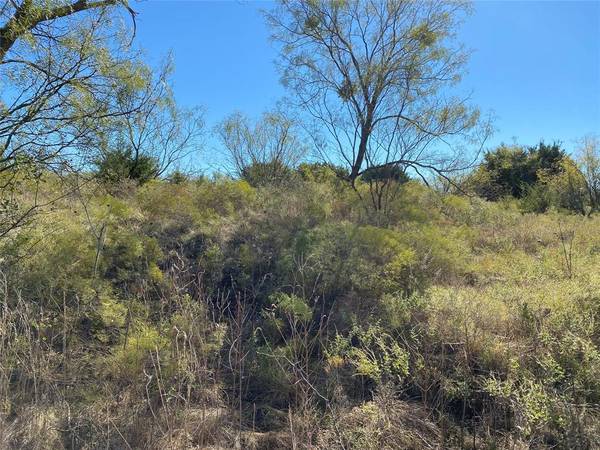 0000 Cinnamon Teal, Graford, TX 76449