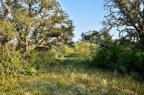 4600 County Road 116, Brady, TX 76825