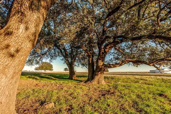 Lot 40 La Cresta Lane, Mineral Wells, TX 76067