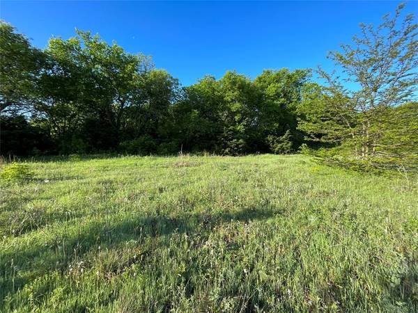 Gunter, TX 75058,0000 Block Road #11.32 Acres