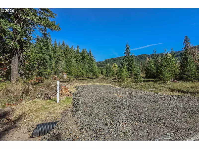 10732 Wind River HWY, Carson, WA 98610