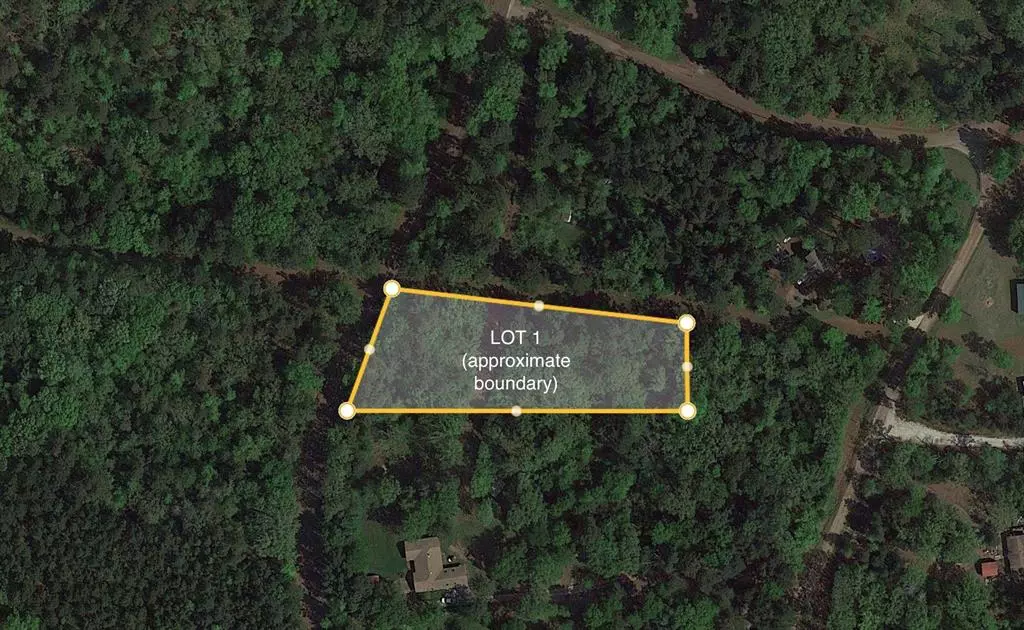 Winona, TX 75750,Lot 1 County Road 353