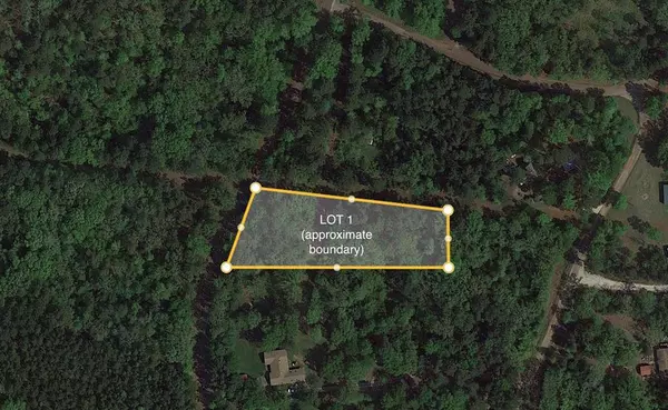 Lot 1 County Road 353, Winona, TX 75750