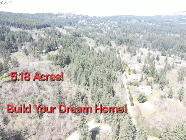 Camas, WA 98607,0 NE Lessard RD