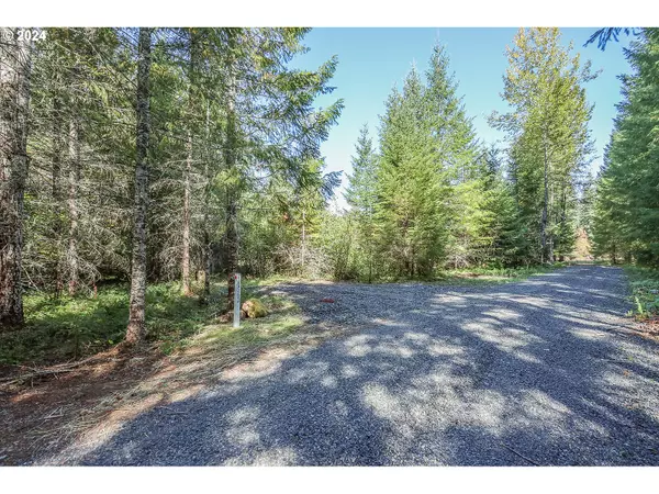 Carson, WA 98610,10632 Wind River HWY