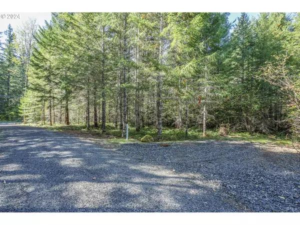 Carson, WA 98610,10632 Wind River HWY