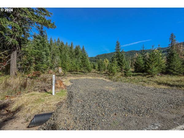 10732 Wind River HWY, Carson, WA 98610