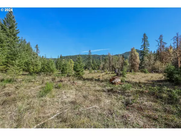 Carson, WA 98610,10732 Wind River HWY