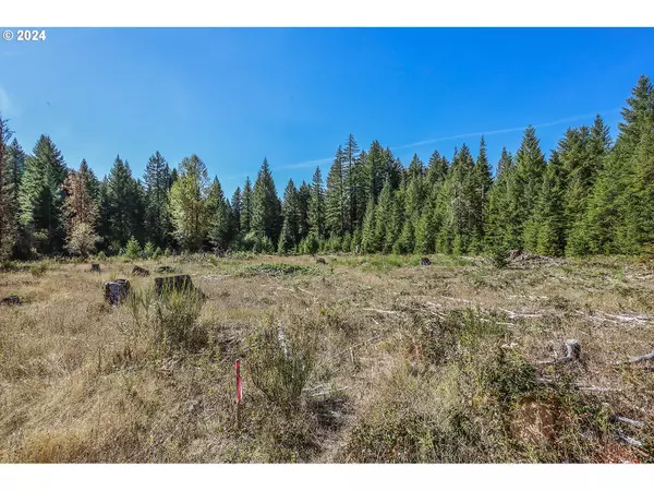 Carson, WA 98610,10732 Wind River HWY