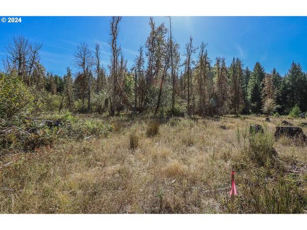 Carson, WA 98610,10634 Wind River HWY