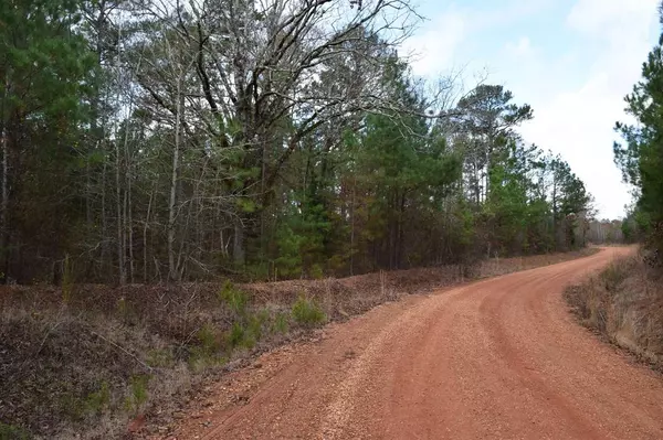 0 Gibson Road, Homer, LA 71040