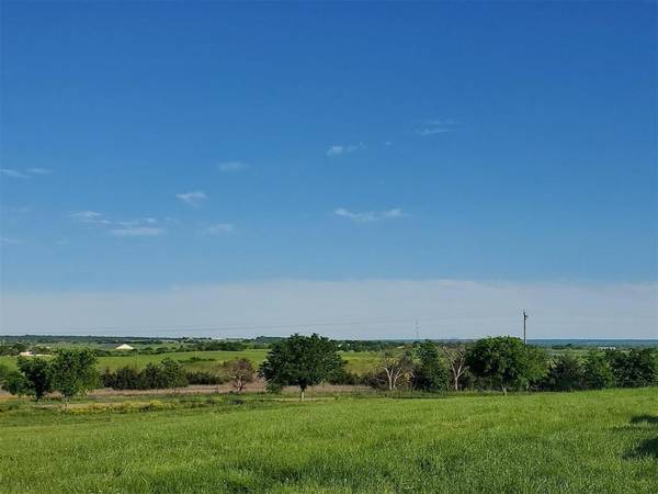 6290 Old Buena Vista Road, Maypearl, TX 76064