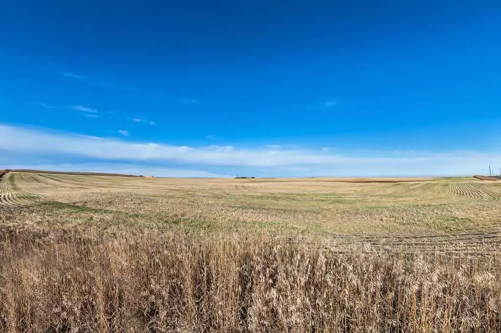 Rural Foothills County, AB T1S 3Y6,96 Street East (19.77 Acres)