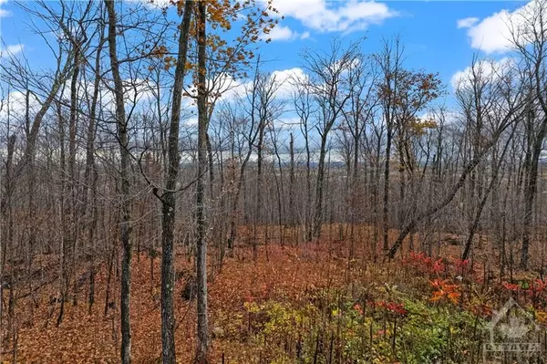 Mississippi Mills, ON K0A 2X0,01 CARBINE RD