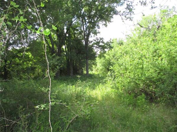 Perrin, TX 76486,45 ac Two Bush