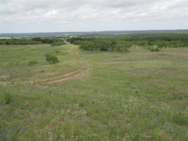 Perrin, TX 76486,45 ac Two Bush