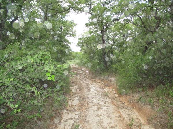 Perrin, TX 76486,45 ac Two Bush