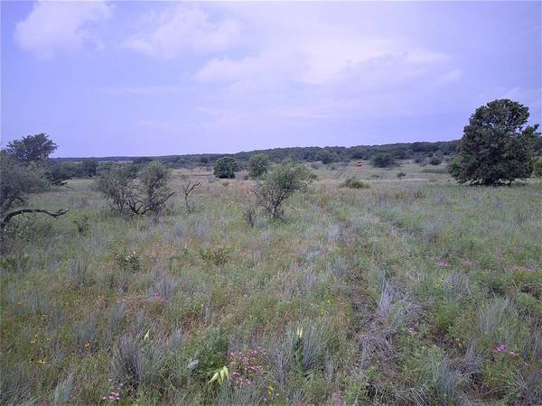 Bowie, TX 76230,Tr 3 4 Wire