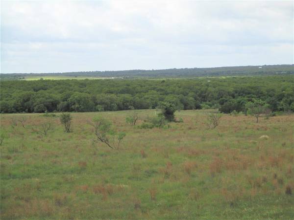 Perrin, TX 76486,105 ac Two Bush