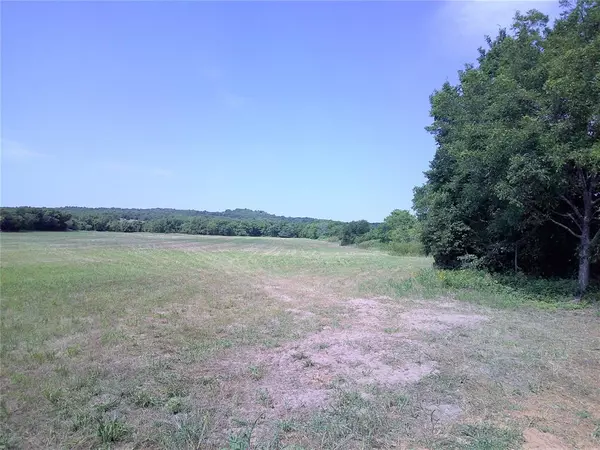 Saint Jo, TX 76265,Lot 4 Starr Man